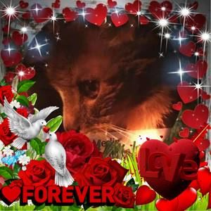 Meet your Posher, Marion